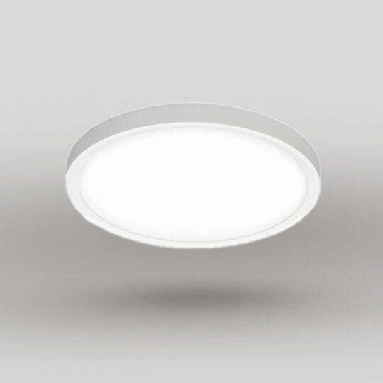 LED Downlight